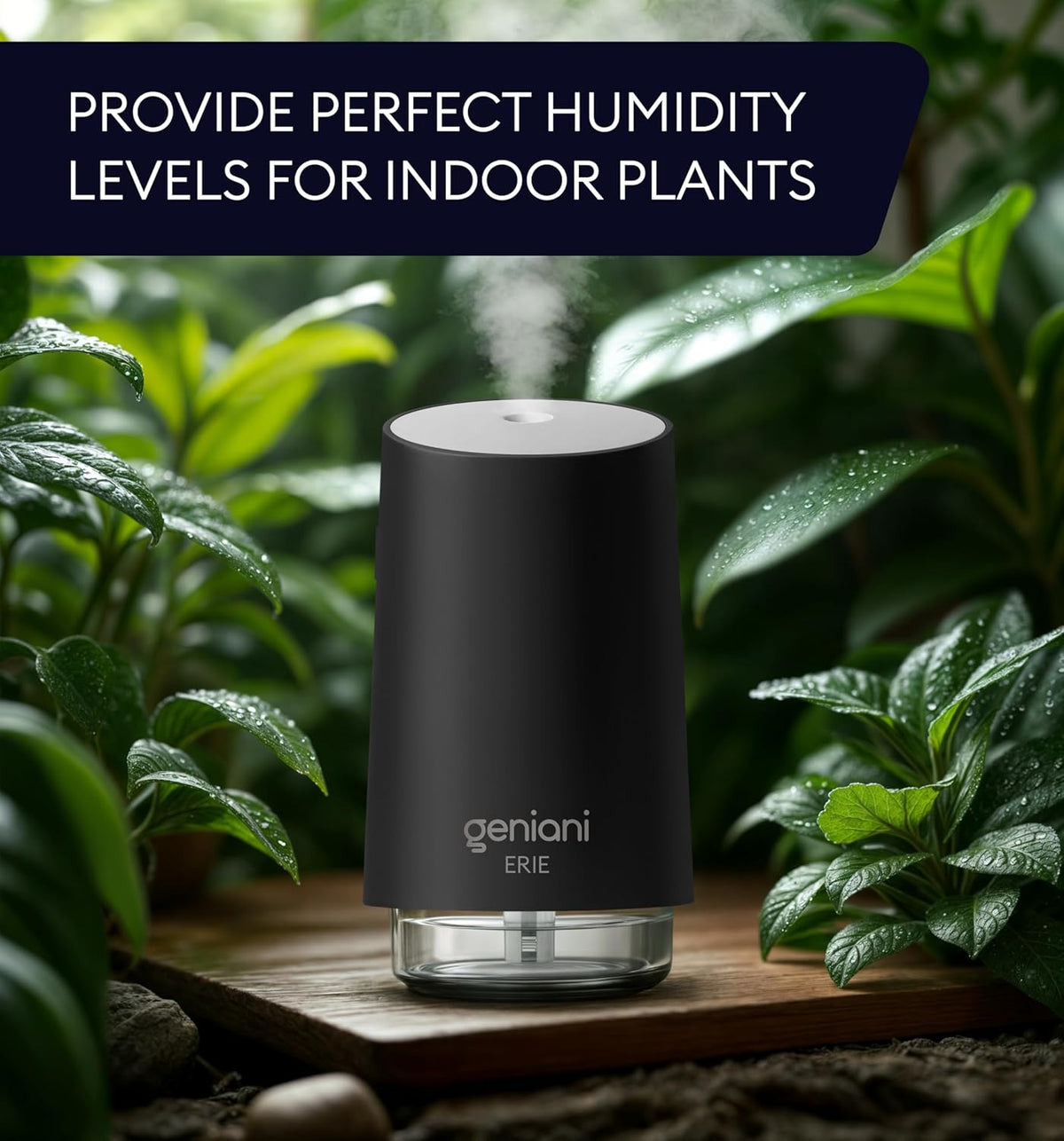 Humidifier Erie 250ML, Black