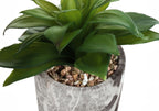 6" Tall, Artificial Plant, Succulent, Indoor, Faux, Fake, Table, Greenery, Potted, Decorative (Set of 2) - Green