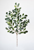 26" Faux Ruscus Leaf Stem