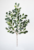 26" Faux Ruscus Leaf Stem