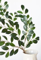 26" Faux Ruscus Leaf Stem