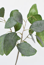 24" Faux Eucalyptus Leaf Stem